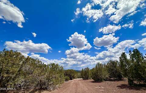 Tbd County Rd N8157 --, Concho, AZ 85924