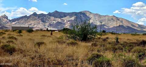 Lot 1 Willcox Road, Pearce, AZ 85625