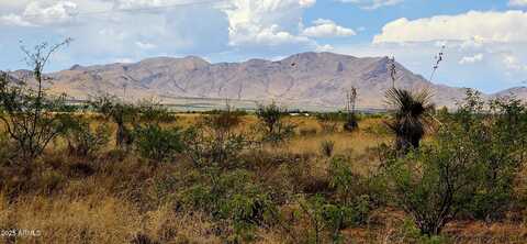 Lot 20 Willcox Road, Pearce, AZ 85625