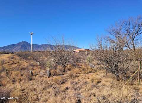Tbd W Newell Street, Naco, AZ 85620