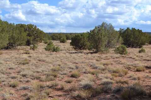 4161 Colt Road, Snowflake, AZ 85937