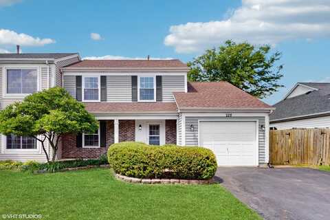 228 Dunton Court, Mundelein, IL 60060