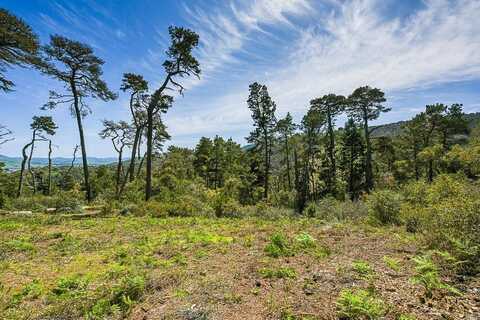531 Via de la Vista, Inverness, CA 94937