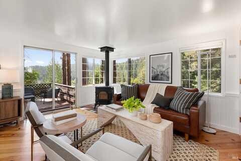 17590 Duncan Road, Guerneville, CA 95446