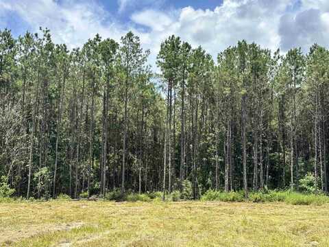 TBD County Road 4210, Woodville, TX 75979