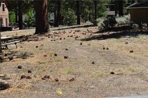 0 Forest Road, Big Bear Lake, CA 92315