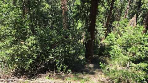 00987 Deer Run Road, Cedarpines Park, CA 92322