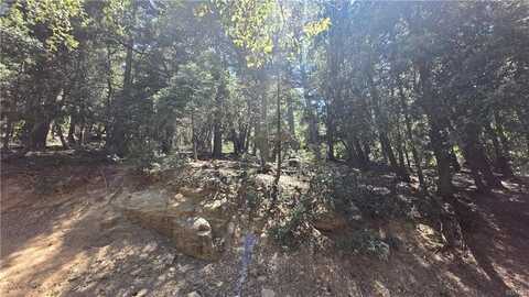 0 Mojave River Road, Cedarpines Park, CA 92322