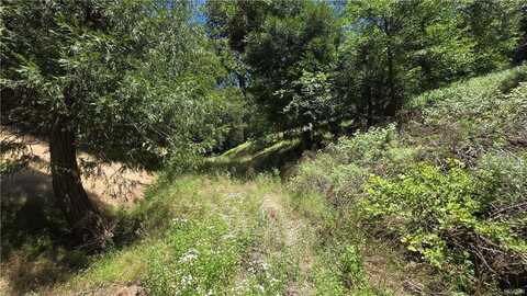 0 Mojave River, Cedarpines Park, CA 92322