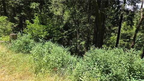 00987 Cedar Pines Drive, Cedarpines Park, CA 92322