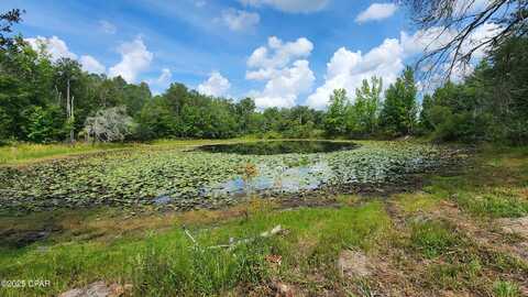 7617 Green Road, Sneads, FL 32460