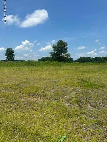 Near 93 Williams Road, Clarendon, NC 28432