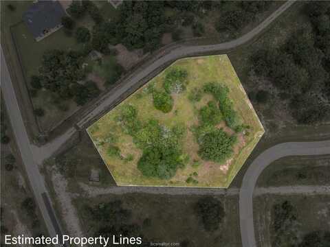 4904 William Mills Court, College Station, TX 77845