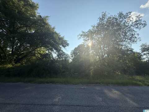 205 WESTERN AVENUE, SYLACAUGA, AL 35150