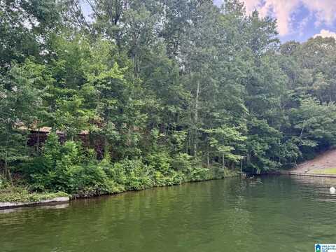 0 COUNTY ROAD 897, WEDOWEE, AL 36278