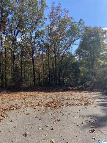 1700 STAGECOACH CIRCLE, BIRMINGHAM, AL 35215