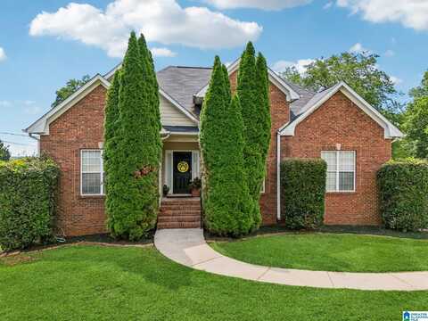 15 BIRCH TREE COURT, ODENVILLE, AL 35120