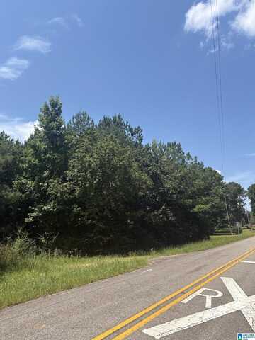 2333 HIGHWAY 9, WILSONVILLE, AL 35186
