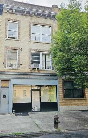 317 Albany Avenue, Brooklyn, NY 11213