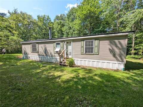 202 Bob Holloway Road, Delhi, NY 13752