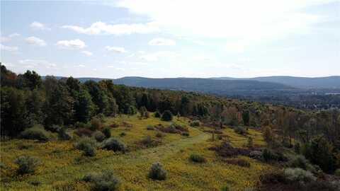 Sisson Hill Rd, Unadilla, NY 13849