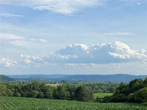 1229b Middle Road, Veteran, NY 14845