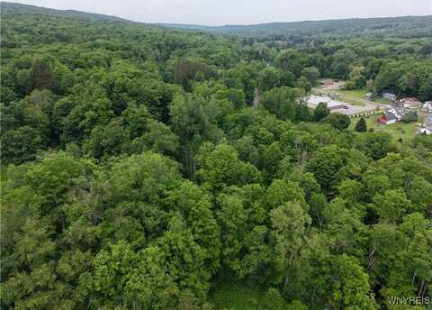 8762 Lower East Hill Road, Colden, NY 14033