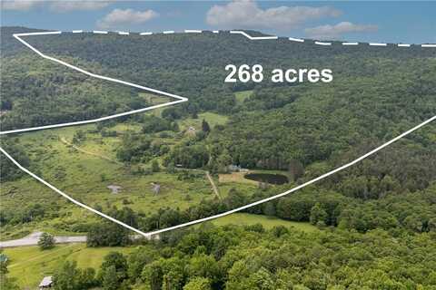 4197 County Highway 26, Colchester, NY 13782