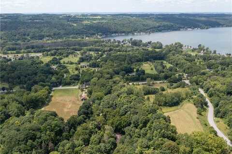 0 henderson hill, Conesus, NY 14435