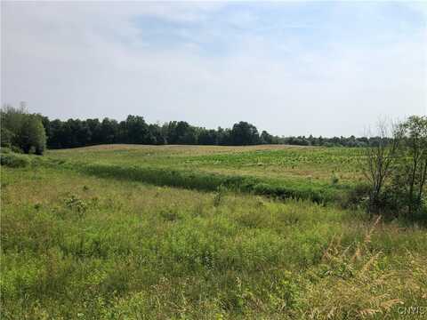 00 Dutch Ridge Rd - Lot #7, New York, NY 13126