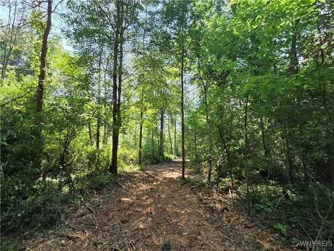 0 Carmen Road, Somerset, NY 14012