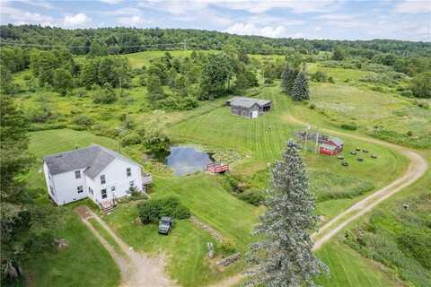 2690 Freer Hollow Road, Franklin, NY 13755