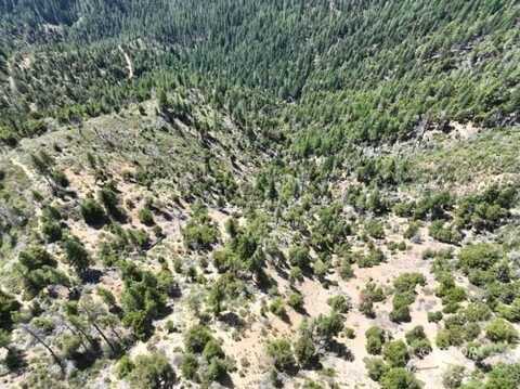 2510 FS Rd, Hyampom, CA 96046