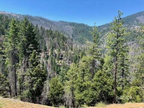 000 Hayfork Summit, Junction City, CA 96048