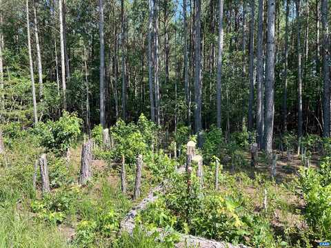 Lot 6 RICHMOND RD, AMELIA COURT HOUSE, VA 23002