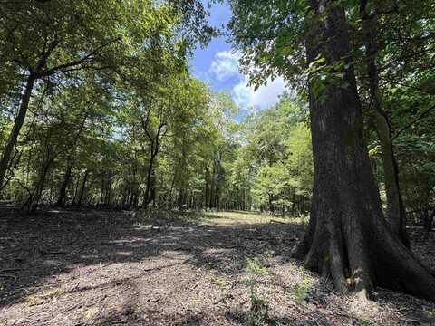 00 70 Highway, Biscoe, AR 72017