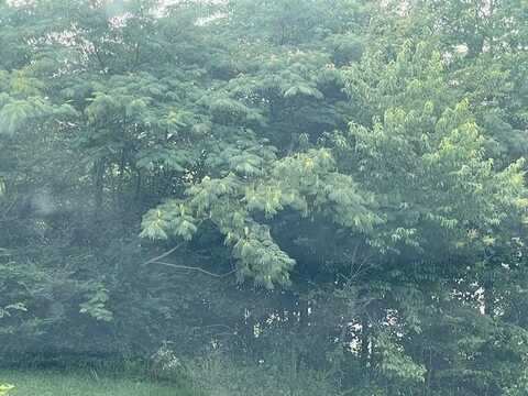 0 Meadowbrook Lane, La Fayette, GA 30728