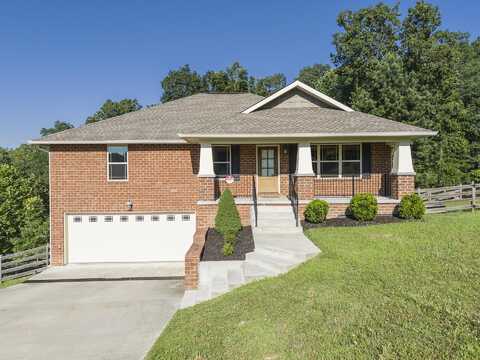 6253 River Stream Drive, Harrison, TN 37341