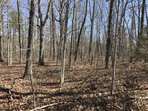 3 Deerhead Road, Dunlap, TN 37327