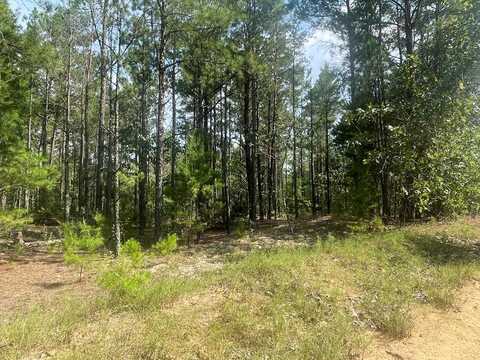 JAMES STUBBS ROAD, MAUK, GA 31058