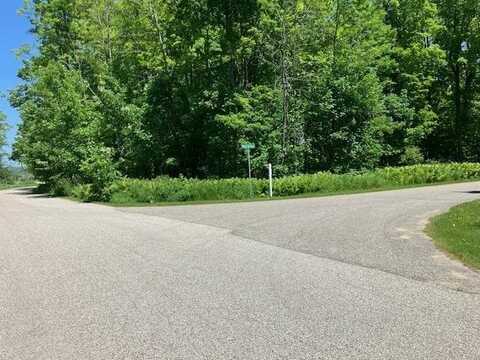 TBD MAPLE ISLE COURT UNIT 32, ALANSON, MI 49706