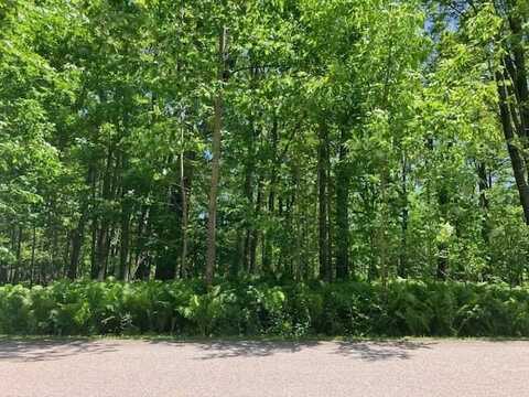 TBD MAPLE ISLE COURT UNIT 33, ALANSON, MI 49706