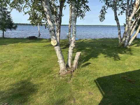 9218 PACHY, CARP LAKE, MI 49718