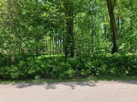 TBD MAPLE ISLE COURT UNIT 34, ALANSON, MI 49706