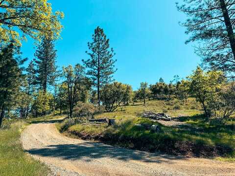 7300 Miller Ranch Road, Mountain Ranch, CA 95246