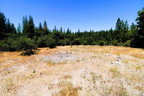 1402 Meredith Lane, Railroad Flat, CA 95248