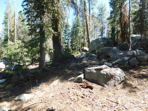 Kitch Trail, Tamarack, CA 95223