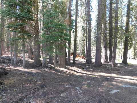 Kitch Trail, Tamarack, CA 95223