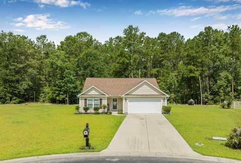 252 Timber Run Dr., Georgetown, SC 29440