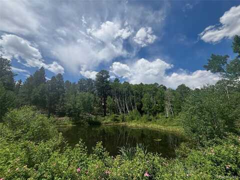 14750 Quartz Circle, Salida, CO 81201